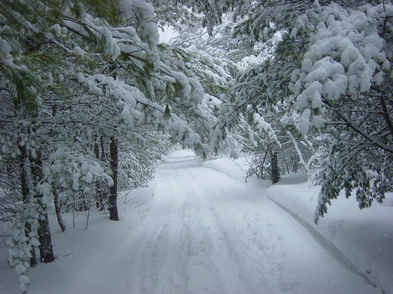 Transform Your Life This Winter